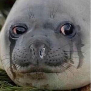 Meet your Posher, Aaron